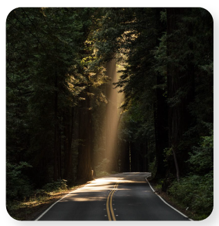 VivaCanada International Corp