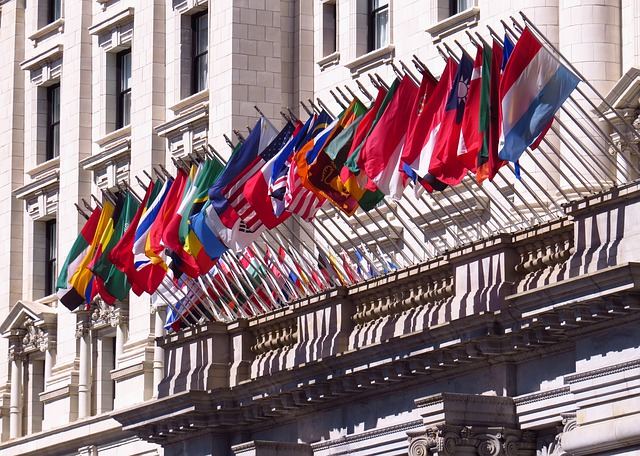 VivaCanada International Corp