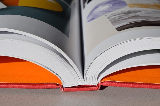 VivaCanada International Corp