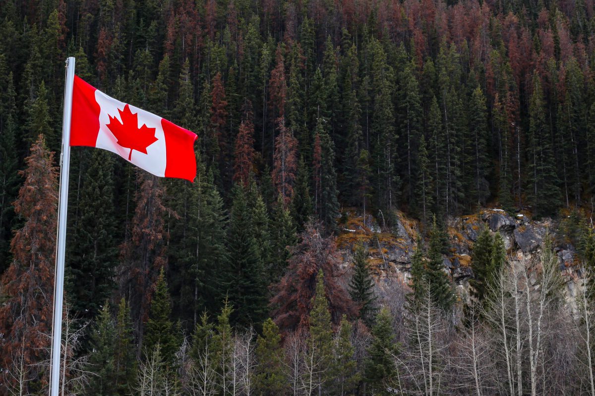 VivaCanada